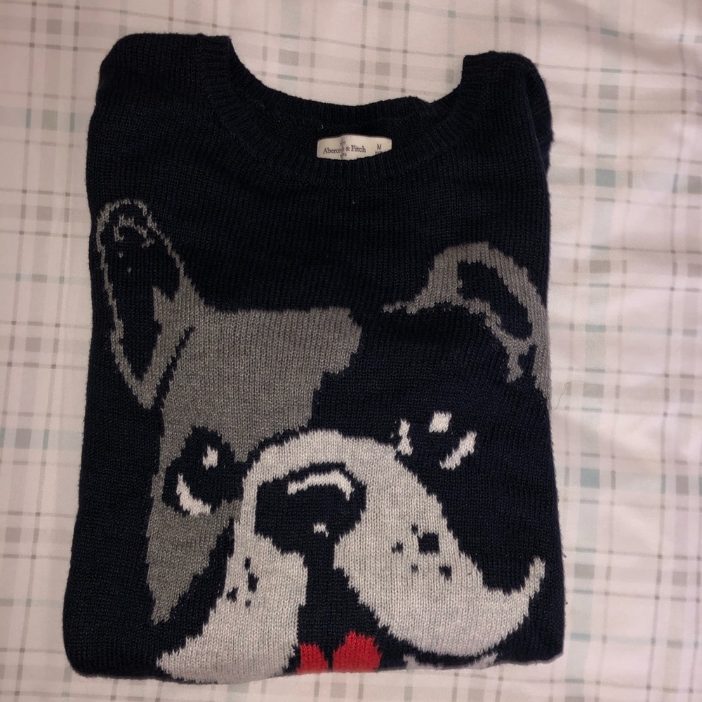 2 for $13🌸 Super cute A&F dog sweater🐶
